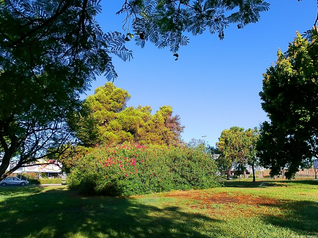 Foto: Parque Orfebre Alonso Moreno - Jeréz de la Frontera (Cádiz), España