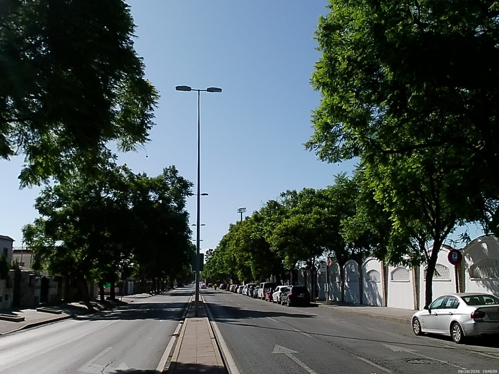 Foto: Calle Avenida Blás Infante - Jeréz de la Frontera (Cádiz), España