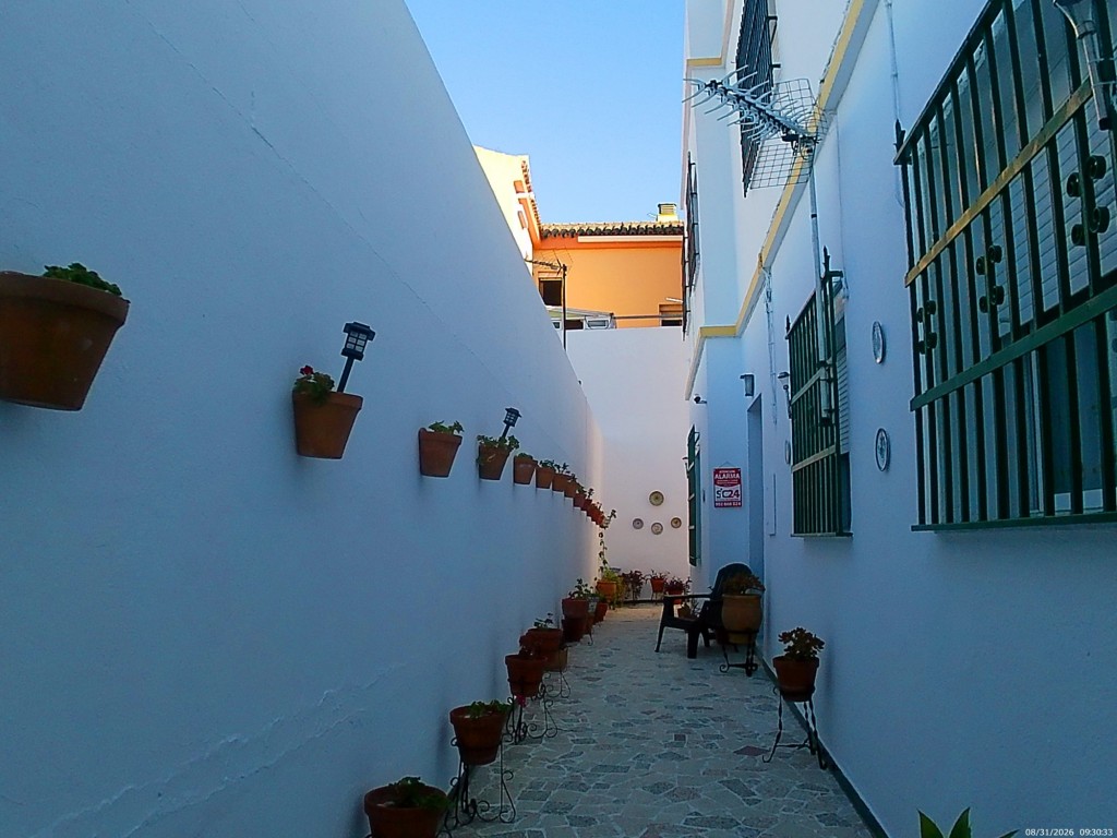 Foto: Patio con macetas - Jerez de la Frontera (Cádiz), España