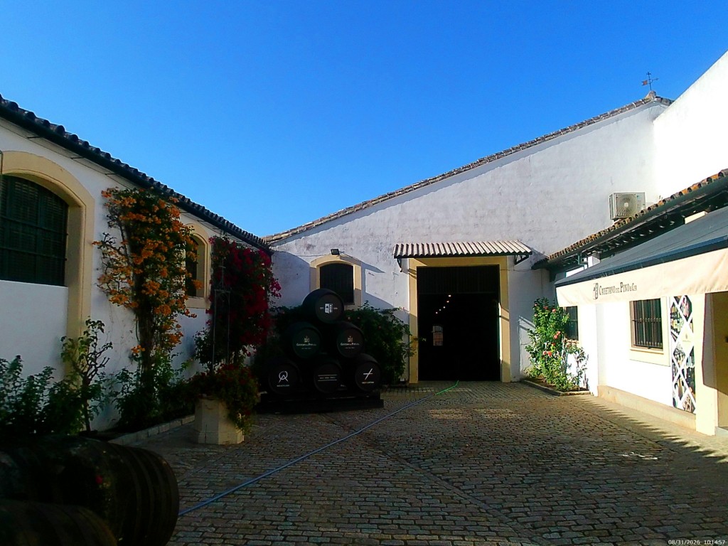 Foto: Patio de los Rosales - Jerez de la Frontera (Cádiz), España