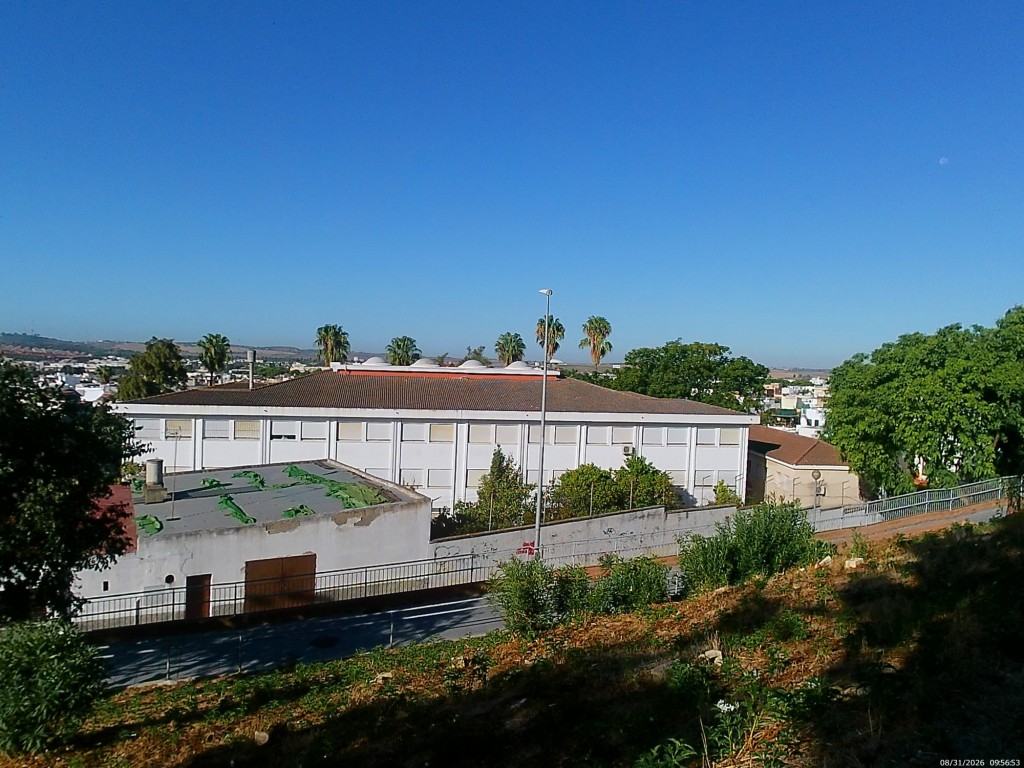 Foto: Bodegas Cayetano del Pino - Jerez de la Frontera (Cádiz), España