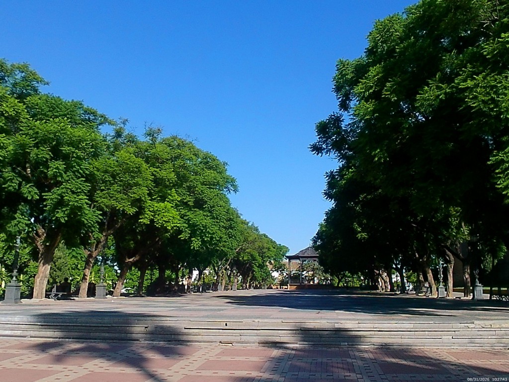 Foto: Alameda Vieja - Jerez de la Frontera (Cádiz), España