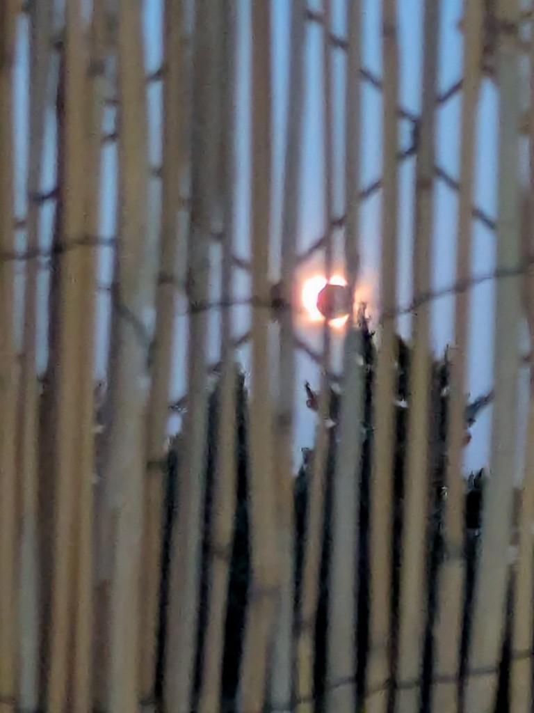 Foto: Eclipse solar del 12 de agosto de 2026 - Calatayud (Zaragoza), España