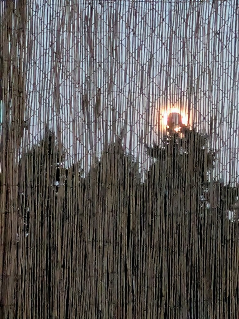 Foto: Eclipse solar del 12 de agosto de 2026 - Calatayud (Zaragoza), España