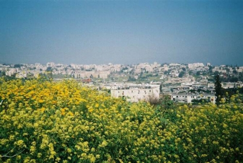 Foto de Tiberias, Israel