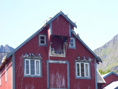 Foto de Lofoten, Noruega