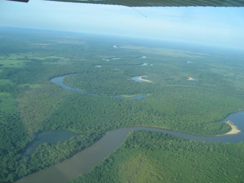 Foto de Pantanal, Brasil
