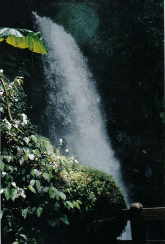 Foto de Waterfall  Gardens, Costa Rica
