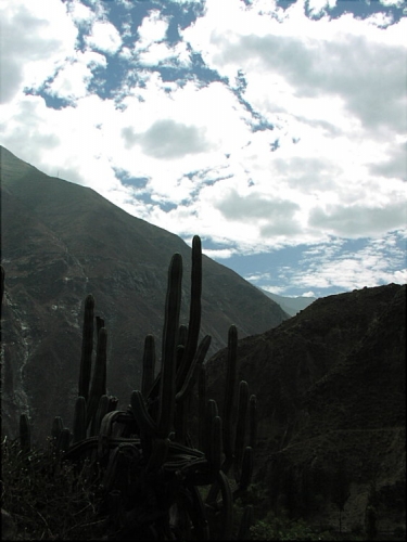 Foto de Tumbapaccha, Perú