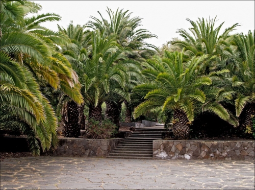Foto de Gran Canaria (Las Palmas), España