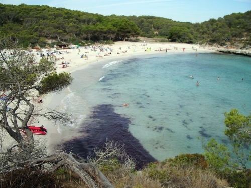Foto de Santanyí - Mallorca (Illes Balears), España