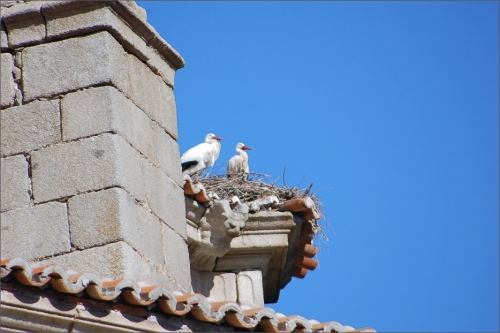 Foto de Villacastín (Segovia), España