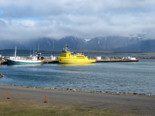 Foto de Dalvík, Islandia