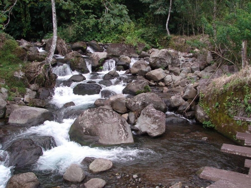 Foto de Zapote, Costa Rica