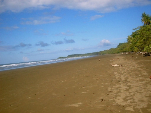 Foto de Dominical, Costa Rica