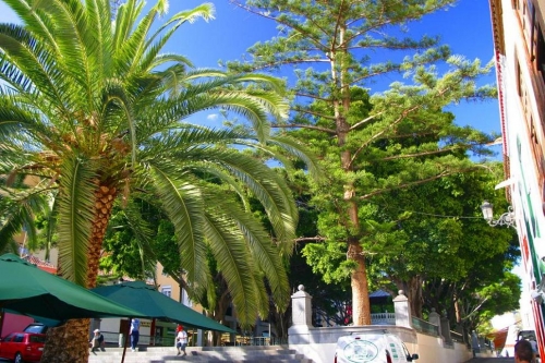 Foto de Santa Cruz de La Palma (Santa Cruz de Tenerife), España