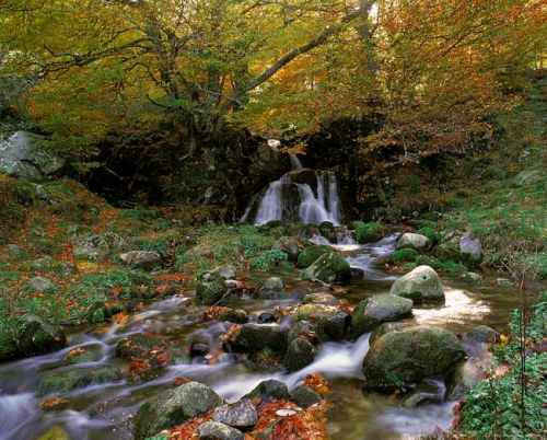Foto de Bezanes (Asturias), España