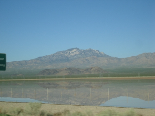 Foto de Desierto Majave (Nevada), Estados Unidos
