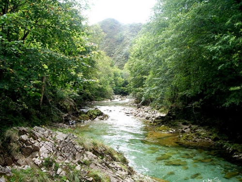 Foto de Tornin - Cangas de Onís (Asturias), España