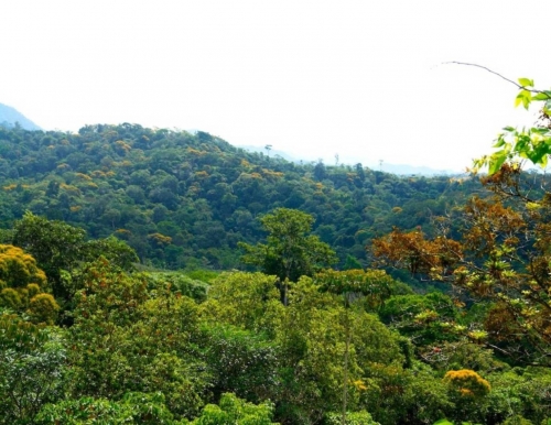 Foto de Puriscal (San José), Costa Rica