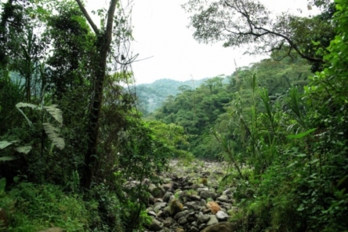 Foto de Heredia, Costa Rica