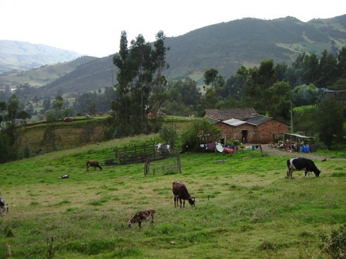 Foto de Villapinzón, Colombia
