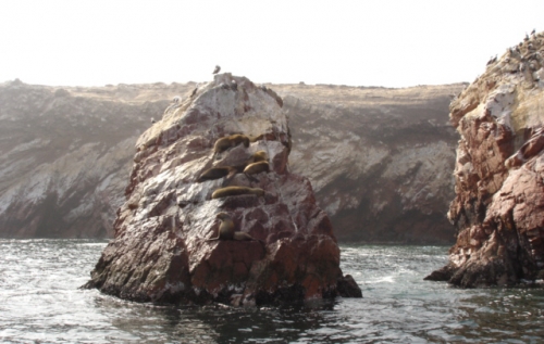 Foto de Islas Ballestas, Perú