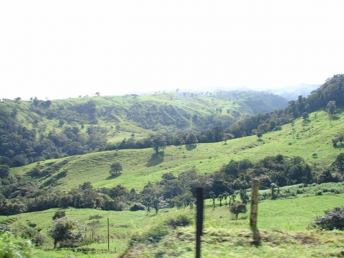 Foto de San Carlos (Alajuela), Costa Rica