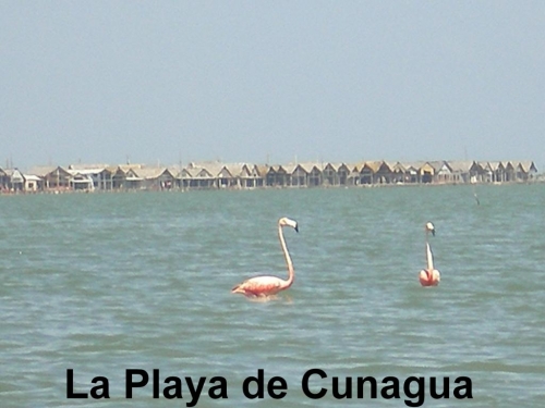 Foto de Cunagua, Cuba