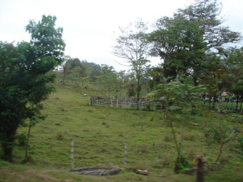 Foto de Upala (Alajuela), Costa Rica