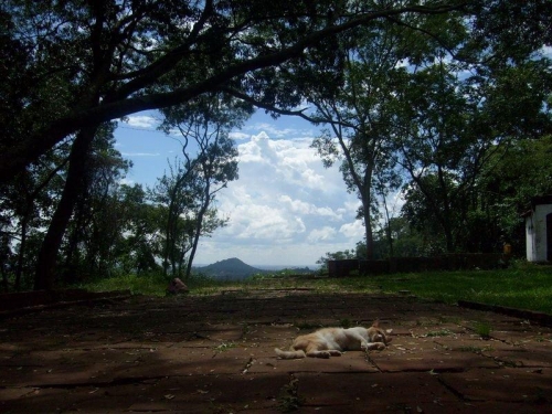 Foto de Salto Suizo (Colonia Independencia), Paraguay