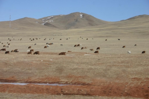 Foto de Ulan Bator, Mongolia