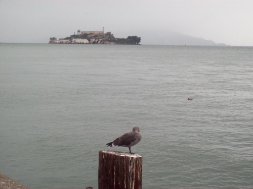 Foto de Alcatraz (San Francisco) (California), Estados Unidos