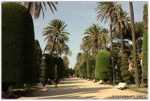 Foto: Parque  Genovés - Cádiz (Andalucía), España
