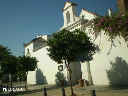 Foto: PELOCAQUI - Palma Del Rio (Córdoba), España