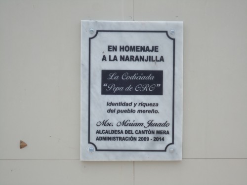 Foto: Monumento a la Naranjilla - Mera (Pastaza), Ecuador