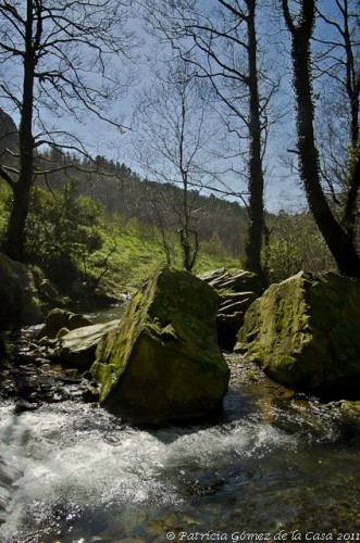 Foto: Cascadas - Oneta (Asturias), España
