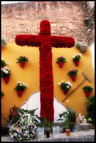 Foto: Cruz De Mayo - Córdoba (Andalucía), España