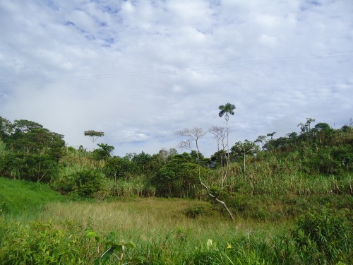 Foto: Paisaje - Simón Bilívar (Pastaza), Ecuador