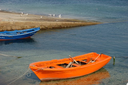 Foto: La Barcas - Moaña (Pontevedra), España