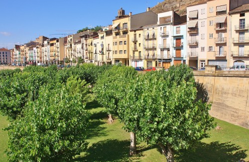 Foto: Ribera del rio Segre - Balaguer (Lleida), España