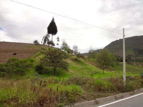 Foto: Camino a Riobamba - Penipe (Chimborazo), Ecuador
