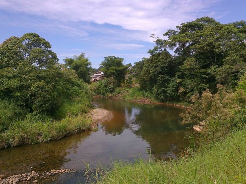 Foto: Rio pindo en verano - Puyo (Pastaza), Ecuador