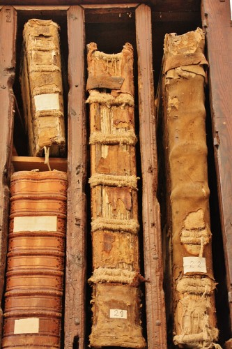 Foto: Libros en la catedral - Baeza (Jaén), España