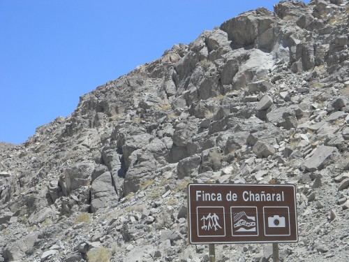 Foto: Finca De Chañaral - Inca De Oro (Atacama), Chile