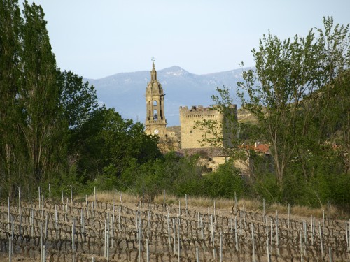 Foto: Iglesia y castillo - Cuzcurrita de Río Tirón (La Rioja), España