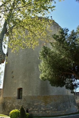 Foto: Faro y torre vigía - Aigues-Mortes (Languedoc-Roussillon), Francia