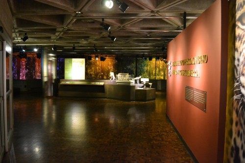 Foto: Museo Del Oro - San Jose (San José), Costa Rica