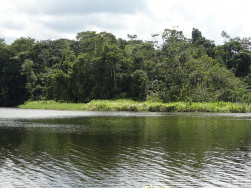 Foto: Estancia la perla - Nueva Loja (Lago Agrio) (Sucumbios), Ecuador