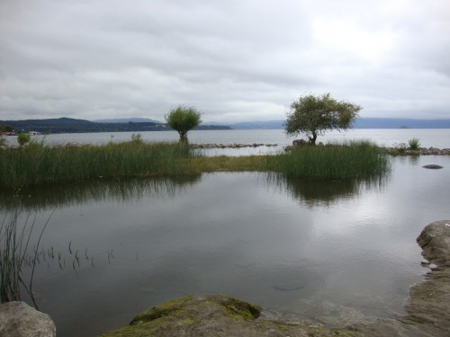 Foto: Lago Villarrica - Villarrica (Los Lagos), Chile